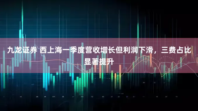 九龙证券 西上海一季度营收增长但利润下滑，三费占比显著提升