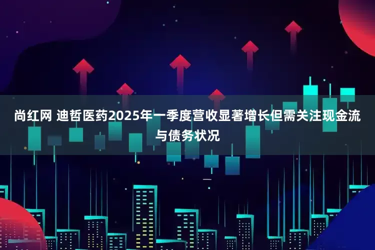 尚红网 迪哲医药2025年一季度营收显著增长但需关注现金流与债务状况