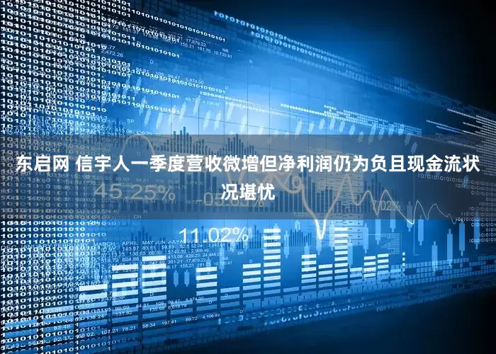 东启网 信宇人一季度营收微增但净利润仍为负且现金流状况堪忧