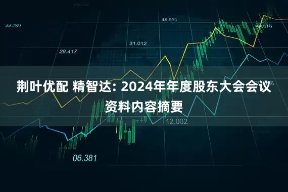 荆叶优配 精智达: 2024年年度股东大会会议资料内容摘要