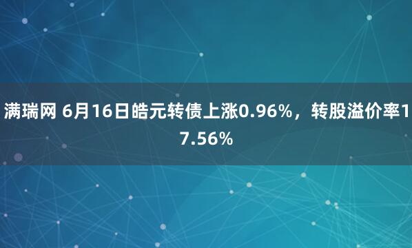 满瑞网 6月16日皓元转债上涨0.96%，转股溢价率17.56%