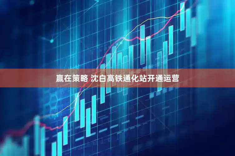 赢在策略 沈白高铁通化站开通运营