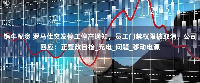 锅牛配资 罗马仕突发停工停产通知，员工门禁权限被取消，公司回应：正整改自检_充电_问题_移动电源