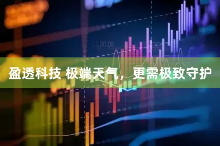 盈透科技 极端天气，更需极致守护