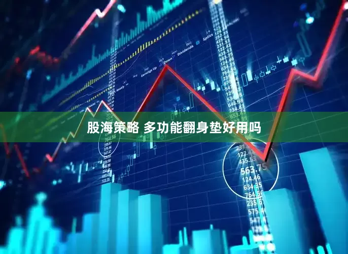 股海策略 多功能翻身垫好用吗