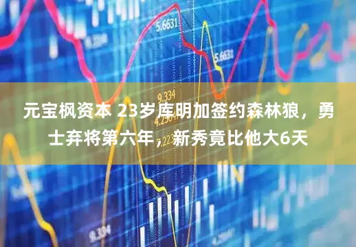 元宝枫资本 23岁库明加签约森林狼，勇士弃将第六年，新秀竟比他大6天